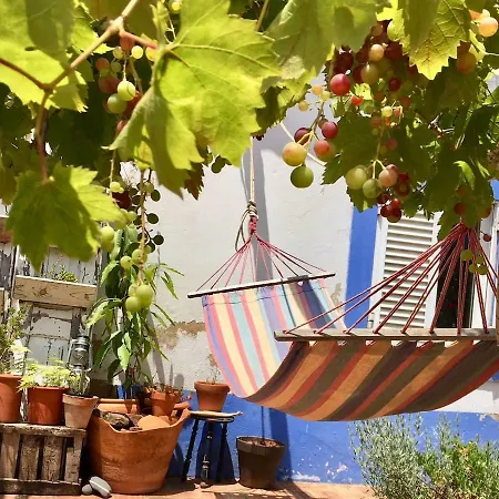 Apartament Casa Amerela / The Art House Aroeira (Algarve)